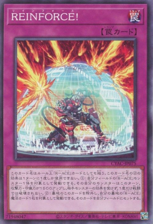 REINFORCE!【N】〈CYAC-JP075〉