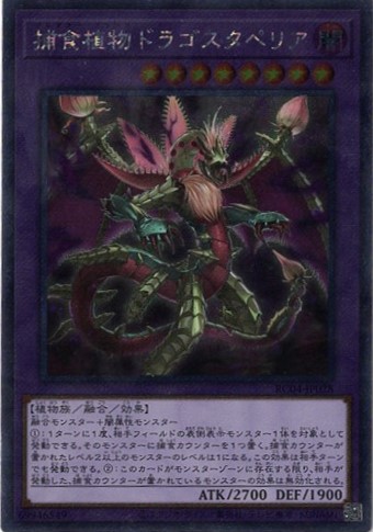 捕食植物ドラゴスタペリア【EXSE】〈RC04-JP028〉
